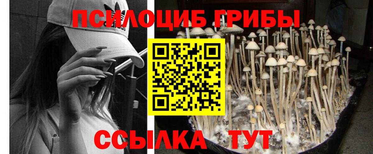 цены   Вход с VPN  Каменск-Шахтинский  Псилоцибиновые грибы ЛСД 